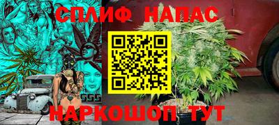 шишки Малоярославец