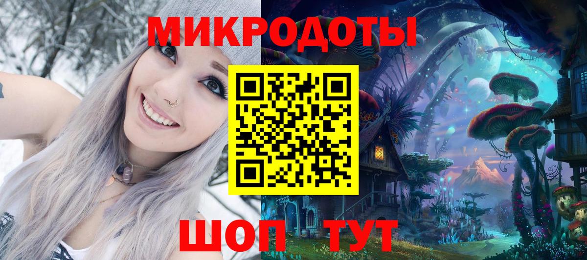 Галлюциногенные грибы Psilocybe Юрга
